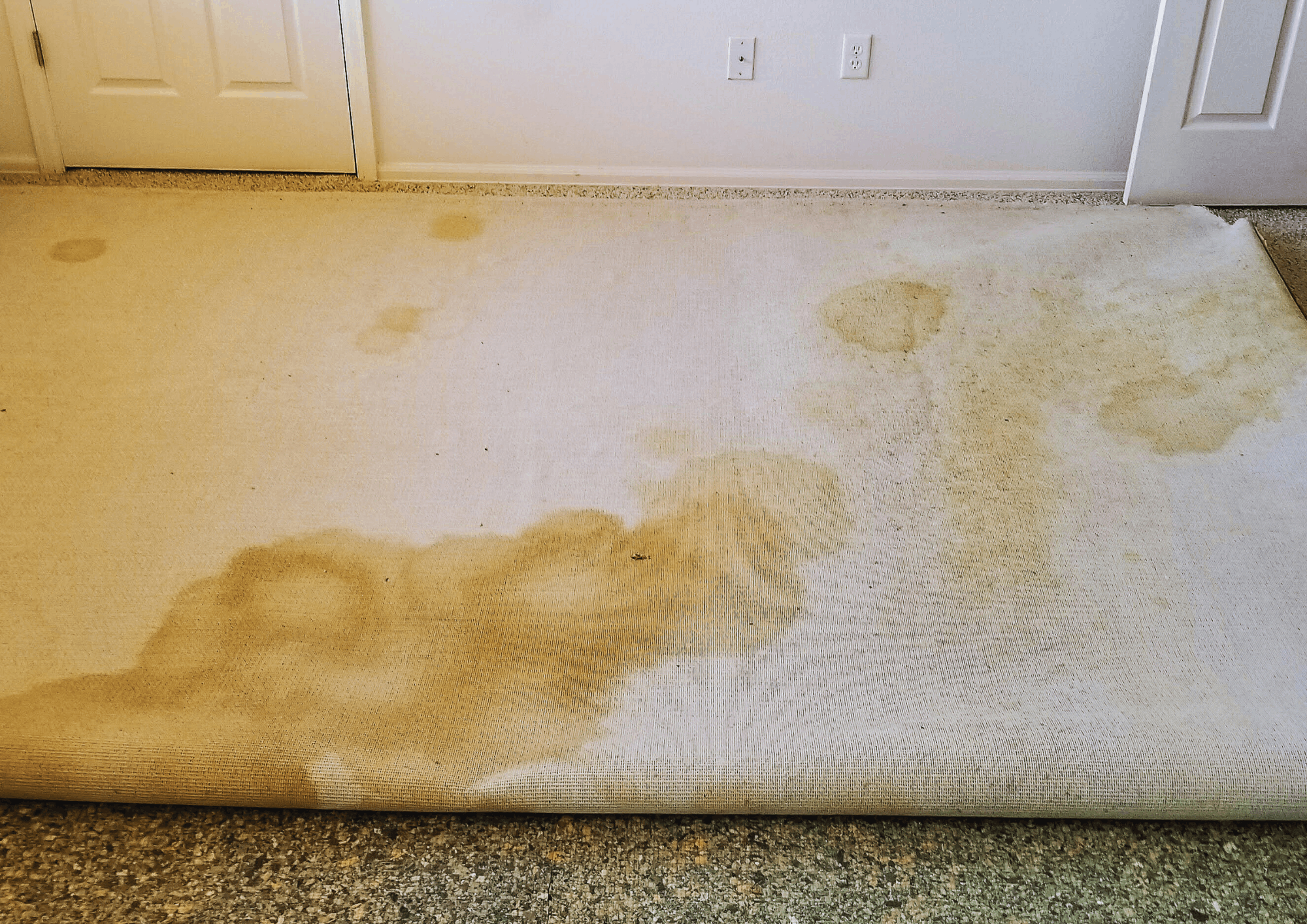 Stains in the Carpet