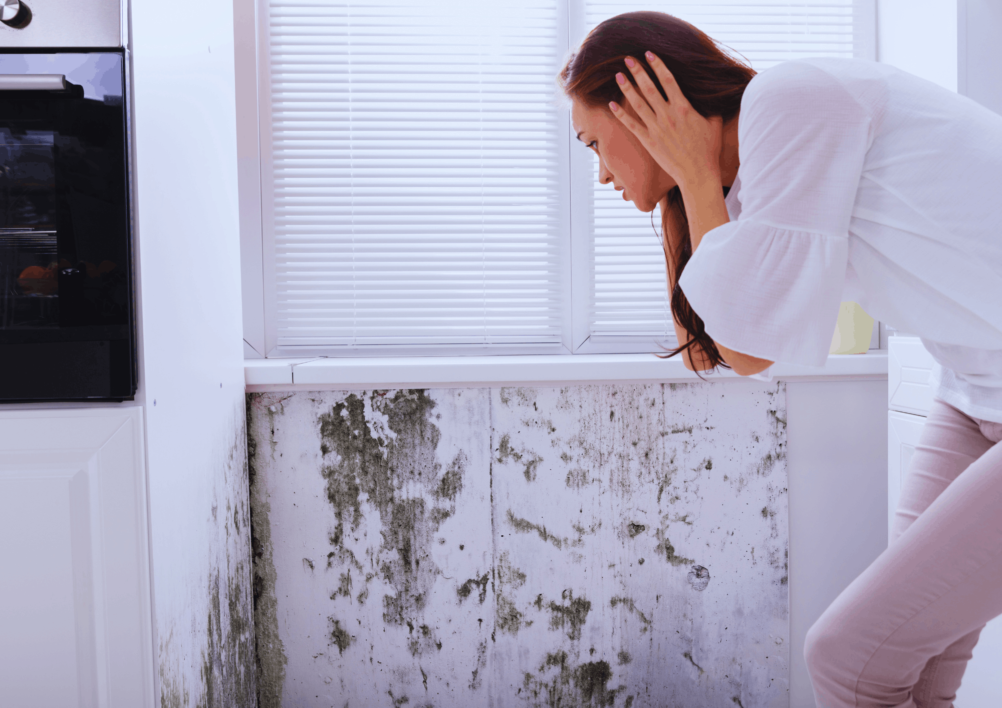 Water Damage and Mold